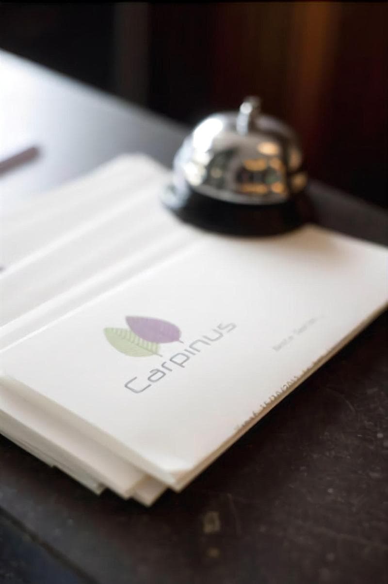 Hotel Carpinus 4