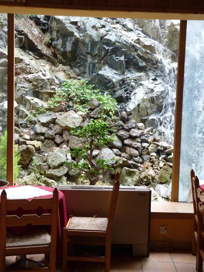 Mountain Rose Hotel main