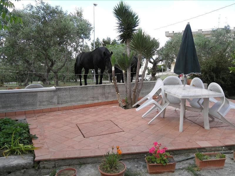 Le Sorbole (Adults Only) 5
