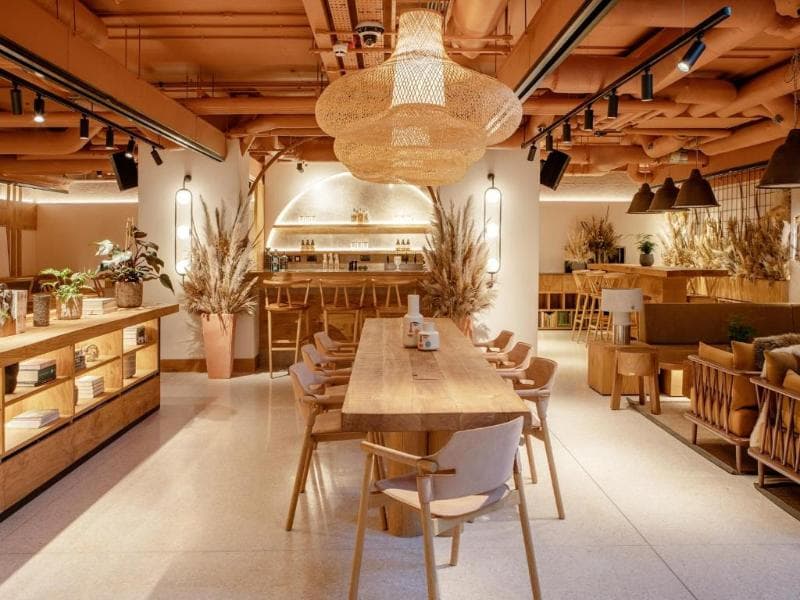 Wren Urban Nest (Adults only) 5