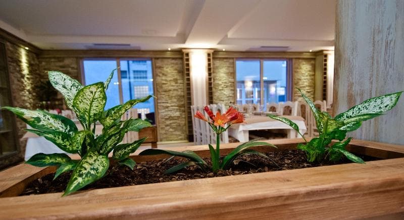 Wine Hotel Cesarica 4