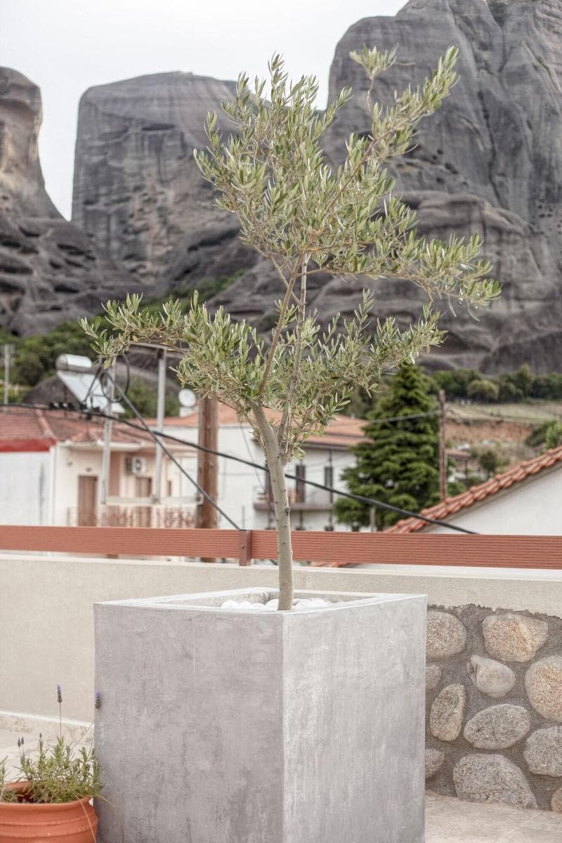 Oikia Guesthouse 4