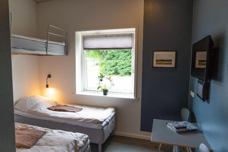 Icv Sleepwell 4