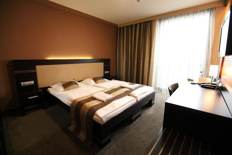 Hotel Dolphin 5
