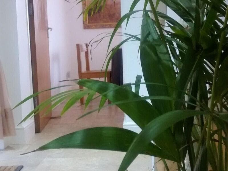 Jessamine House Hotel 3