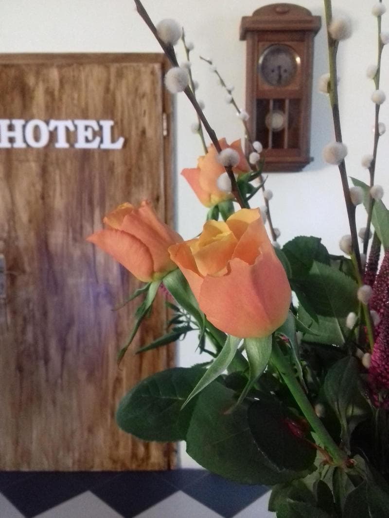 Hotel Bad Langensalza Eichenhof 4