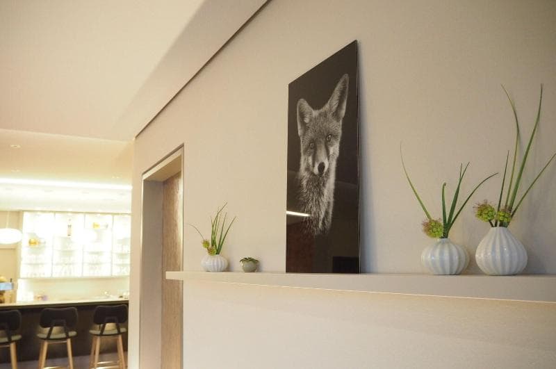 Hotel Fuchsen 5