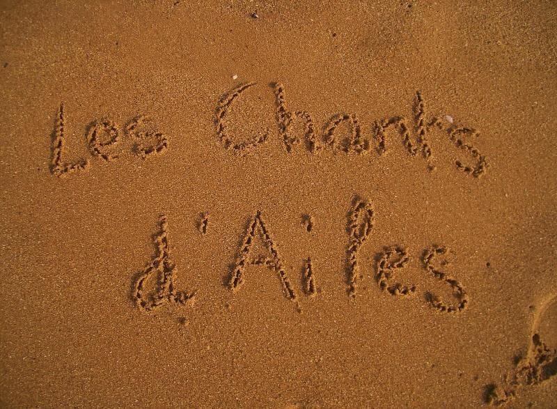 Les Chants D'ailes - Hôtel Face Mer 5