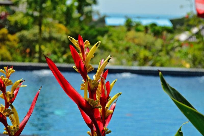 Atmaland Resort 2