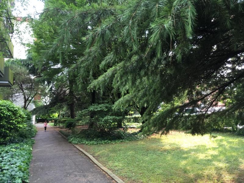 Bed And Breakfast Bio Salix 4