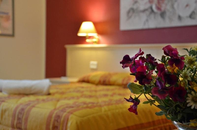 Hotel Vallisdea 4