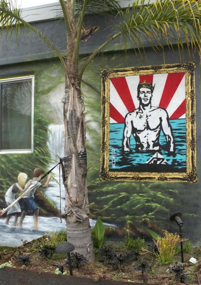 House Of Trestles 5