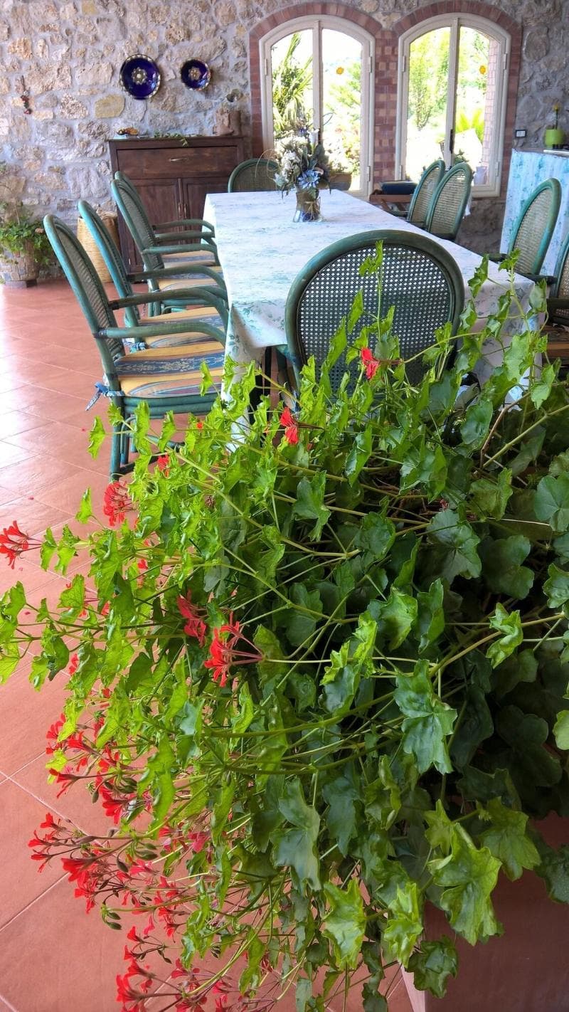 Bed And Breakfast Macchia D'olmo 5