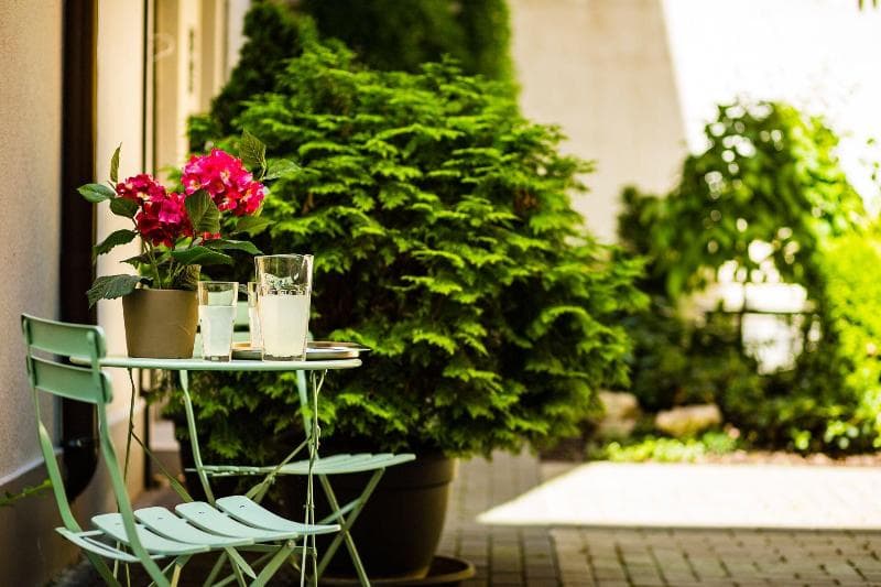 5 Vintage Guest House 4