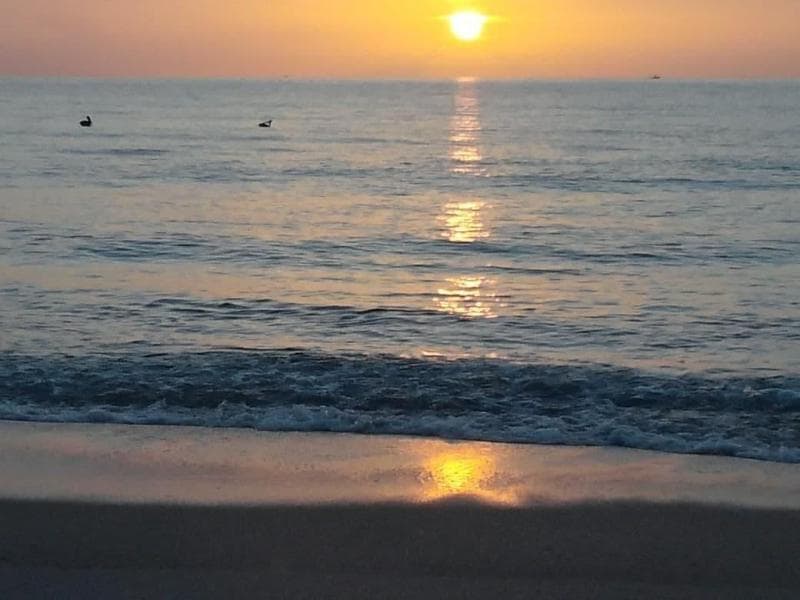 Sun Dek Beach House 5