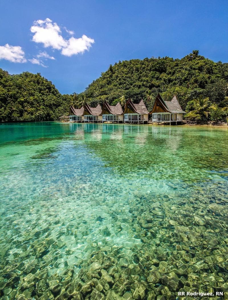 Club Tara Resort 5