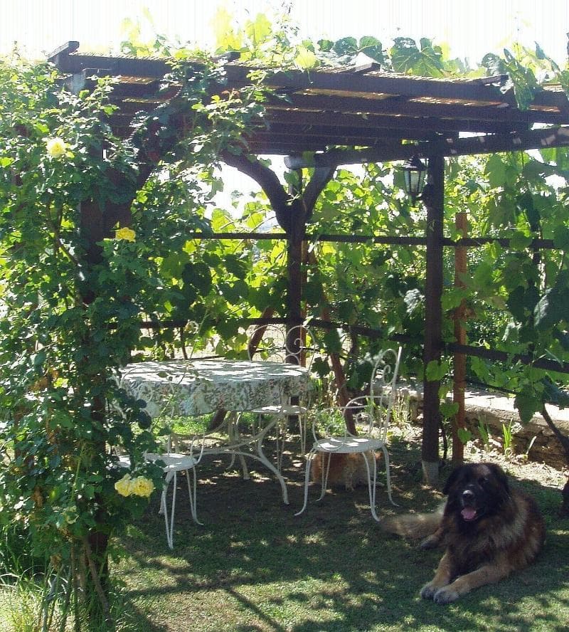 B&B Gabri 4