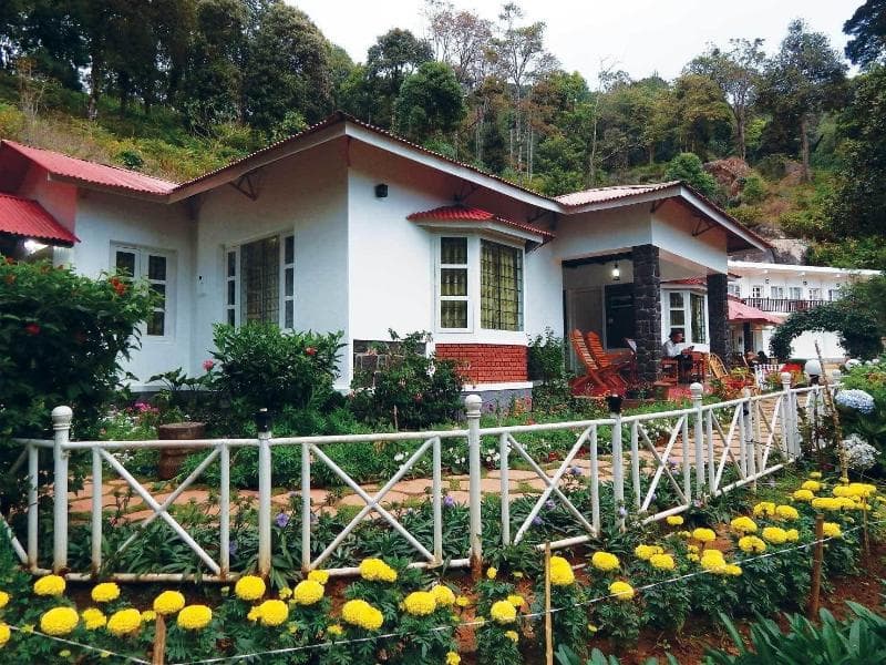 Olive Brook Resort 4