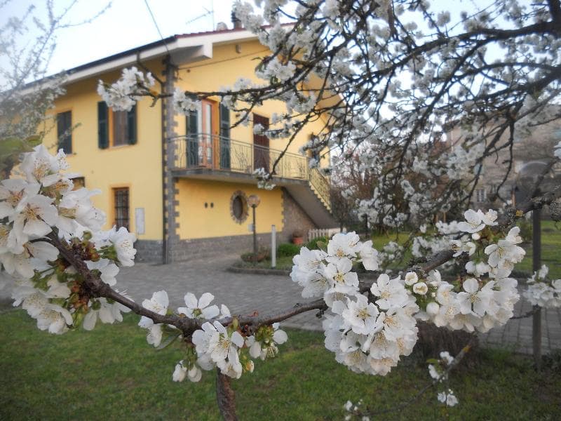 Bed and Breakfast Pervinca 5