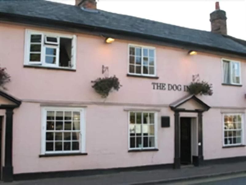 The Dog Inn 3