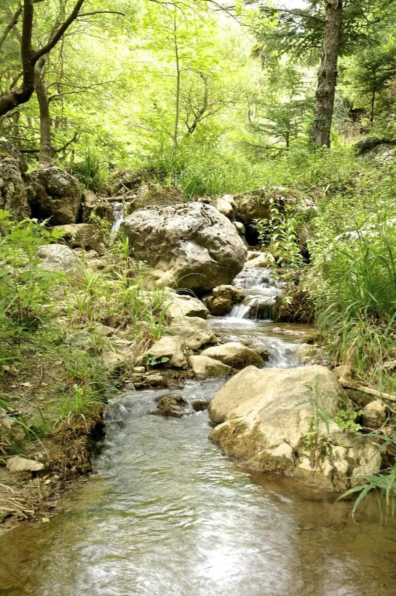 Pritanio 3