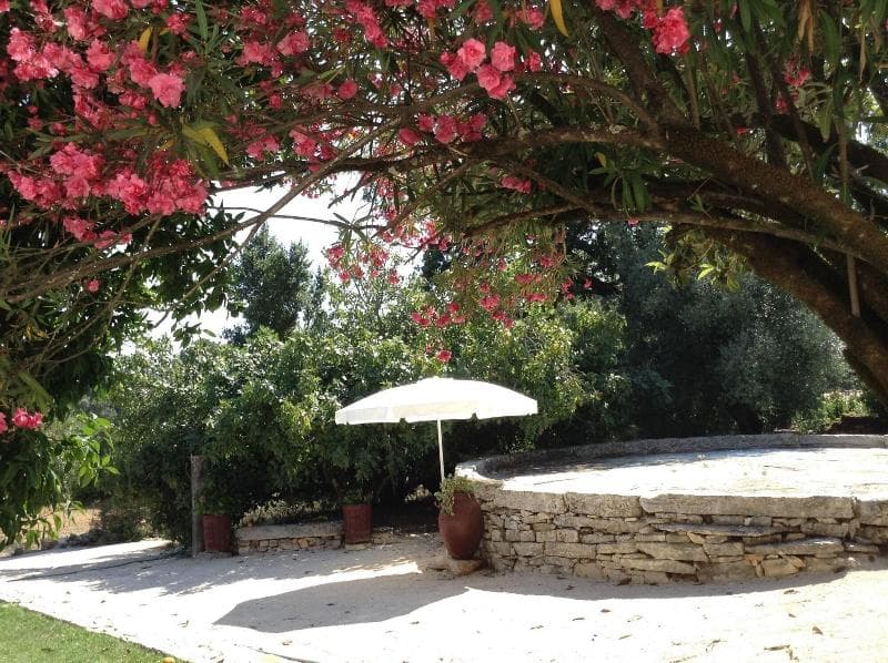Otium Country House (Adults Only) 5