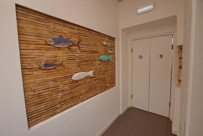 Son Of A Beach Hostel (Adults Only) 4