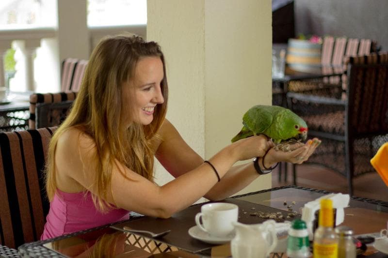 Tifakara Boutique Hotel & Birding Oasis 5