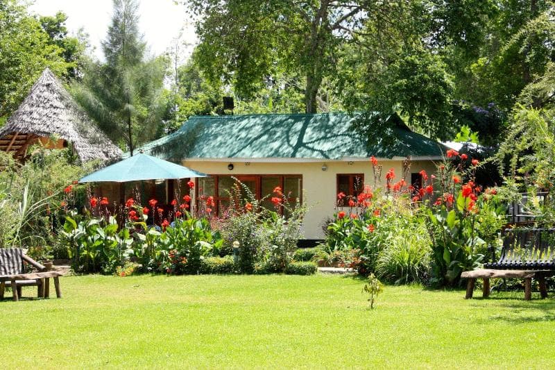 The Vijiji Center 4
