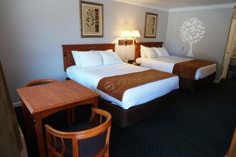 Journey Inn 5