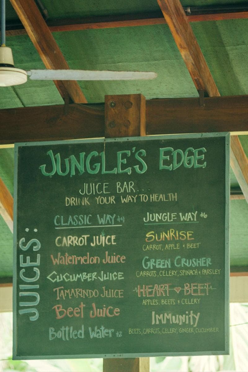 Jungle's Edge Lifestyle Retreats photo 1