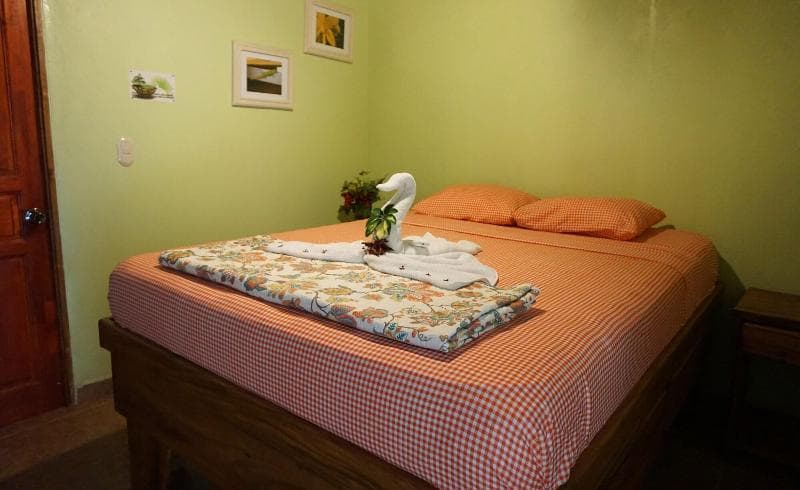 Jungle's Edge Lifestyle Retreats 3