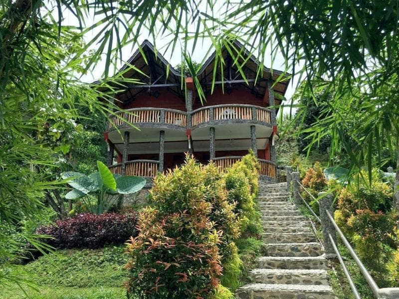 Hotel Orangutan 4