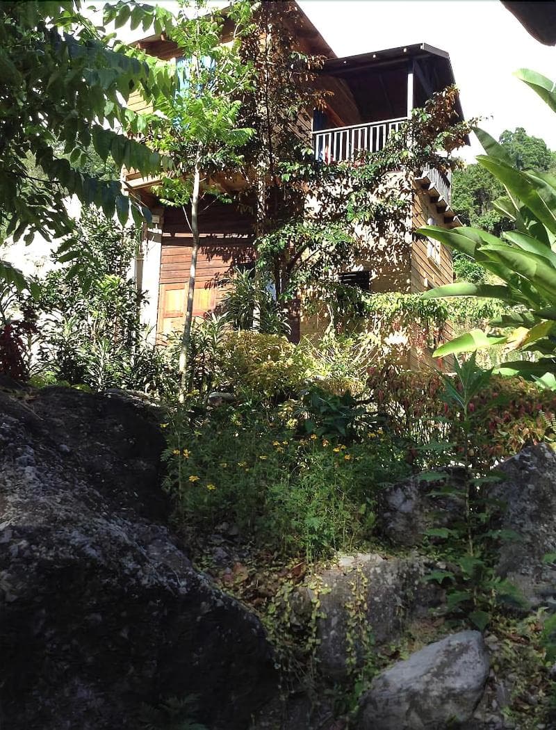 Rafjam Bed & Breakfast 4