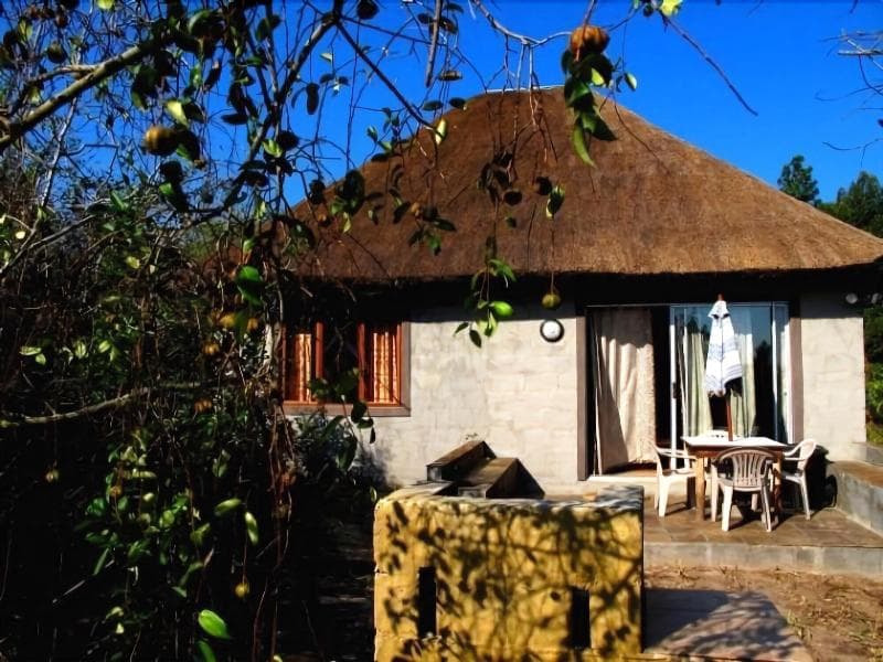 Triton Dive Lodge 4