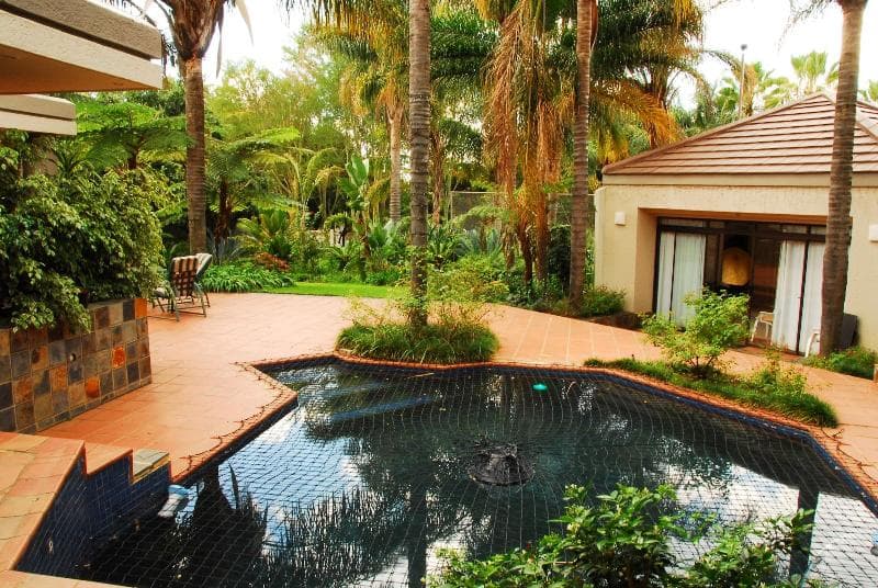 Villa Amor photo 1