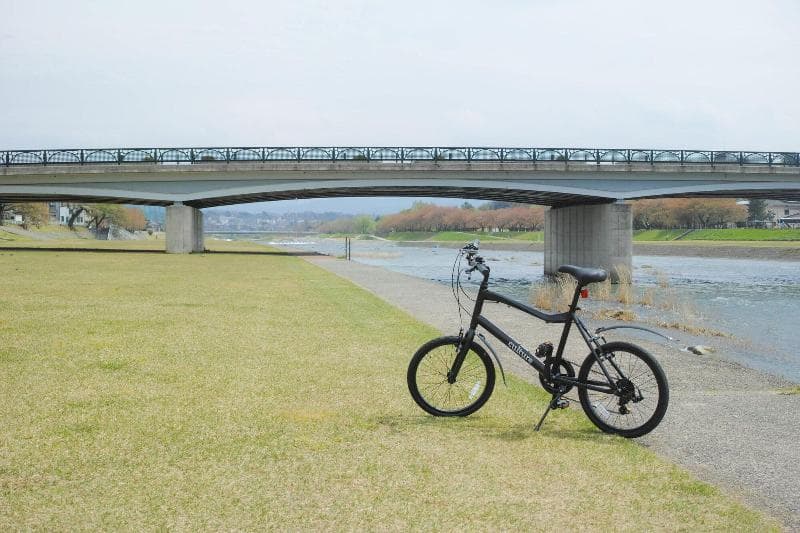 Sararaso photo 1