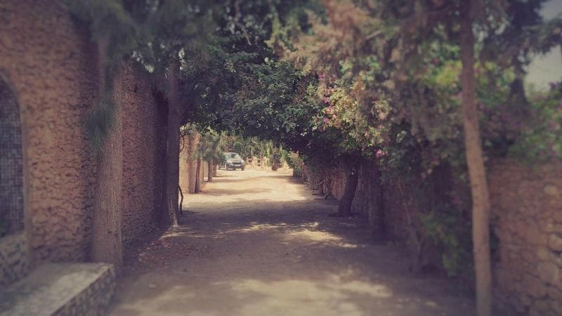 Villa Du Souss Eco Lodge (Adults Only) 5