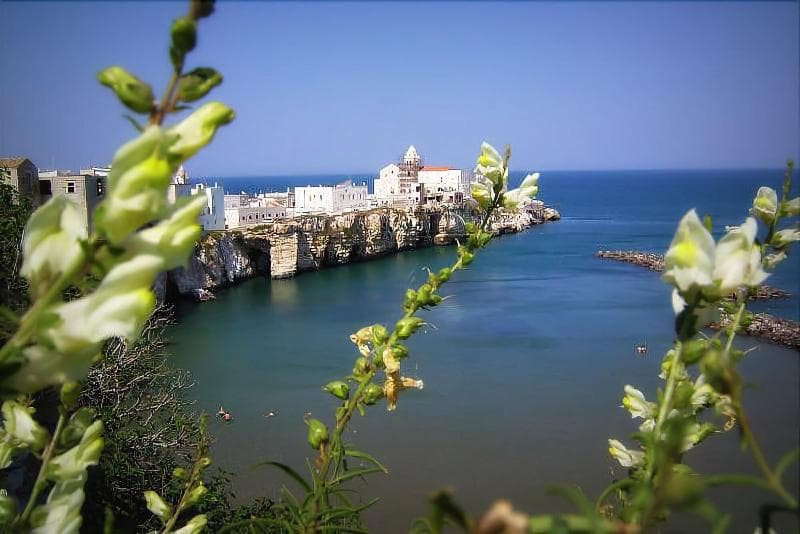 B&B I Cordari (Adults Only) 3