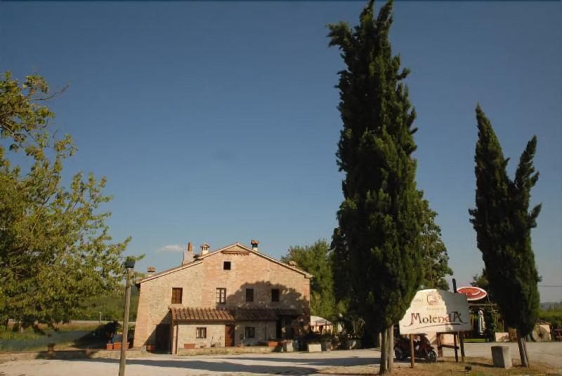 B&B Molenda 5