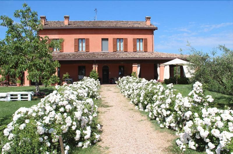 La Fornasaccia 5