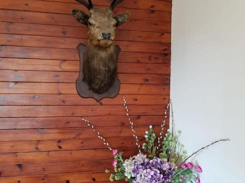 Glenan Lodge Guest House 2