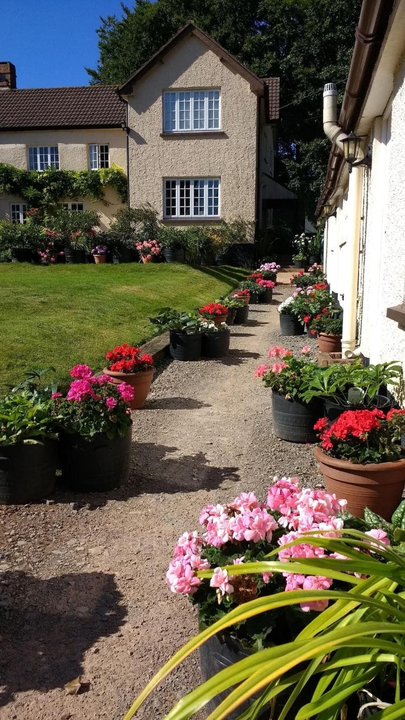 Brambles Bed And Breakfast (Adults only) 5