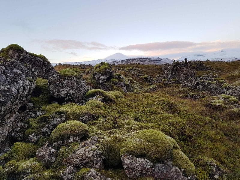 Miðhraun - Lava Resort main