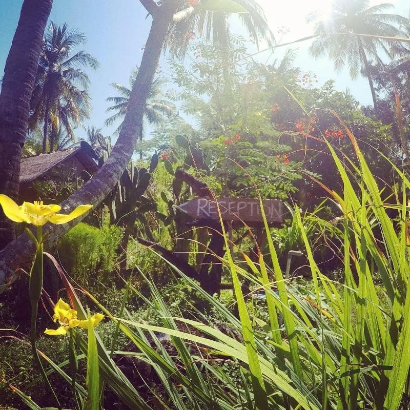 Rinjani Beach Eco Resort 4