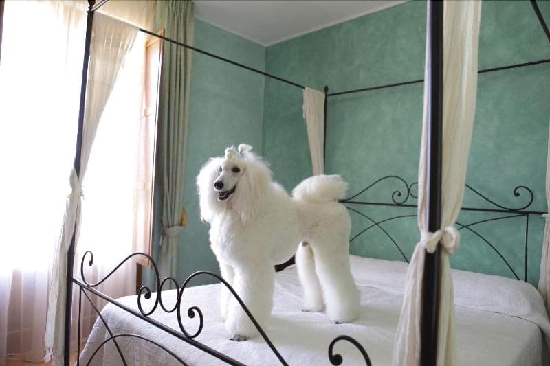 Villa Barbarossa Bed & Breakfast (Adults Only) 3