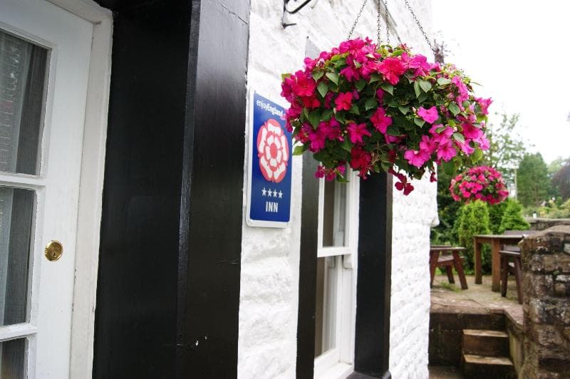 Royal Oak Appleby 3