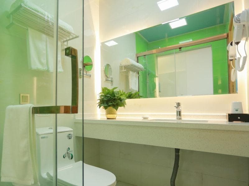 Greentree Inn Langfang Dacheng County Government 5