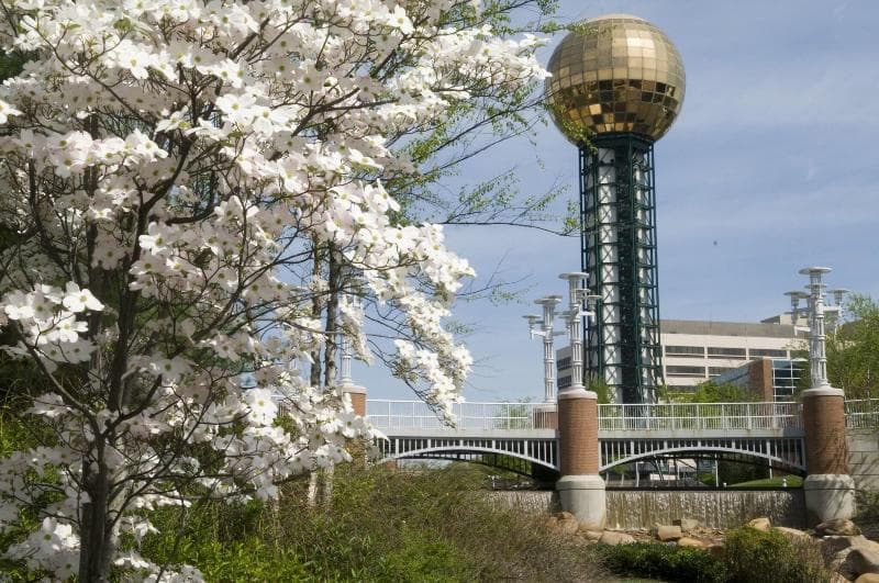 The Tennessean Personal Luxury Hotel 5