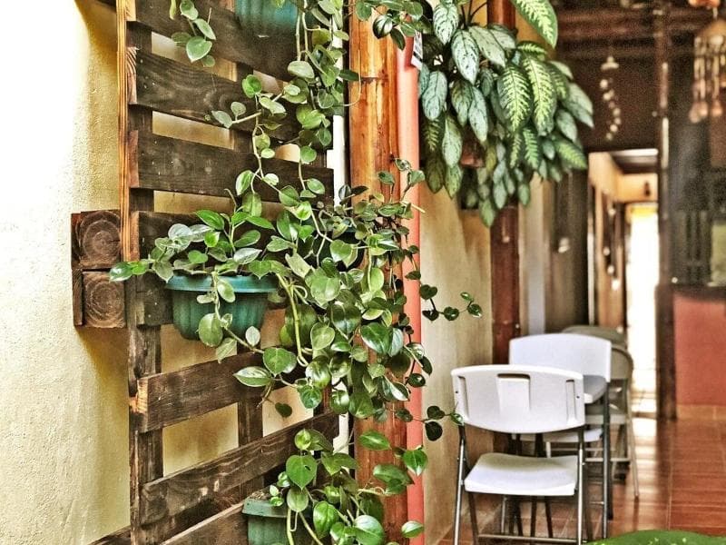 Hotel Pacande 4